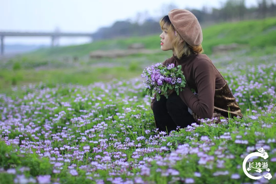 愿遂初心,温暖生活前往紫云英花海我负责拍照,你负责摆姿趁繁花还未开