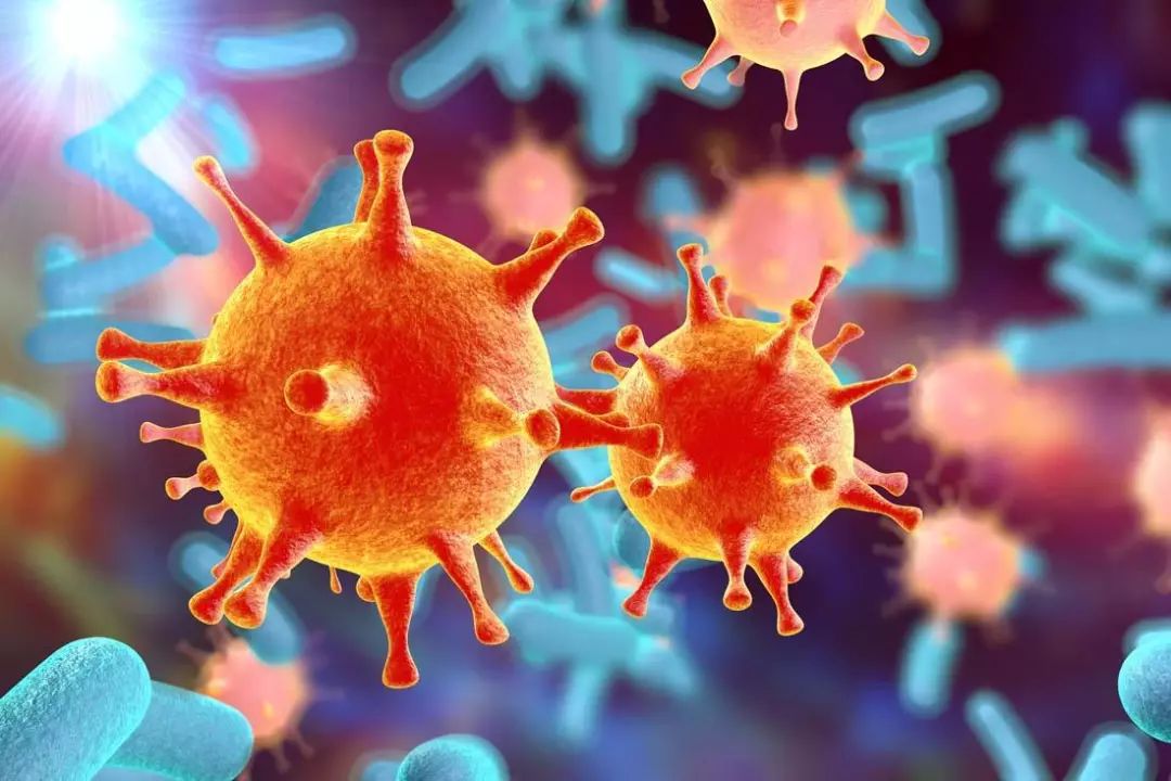 病毒网络有助于加快细菌的进化?