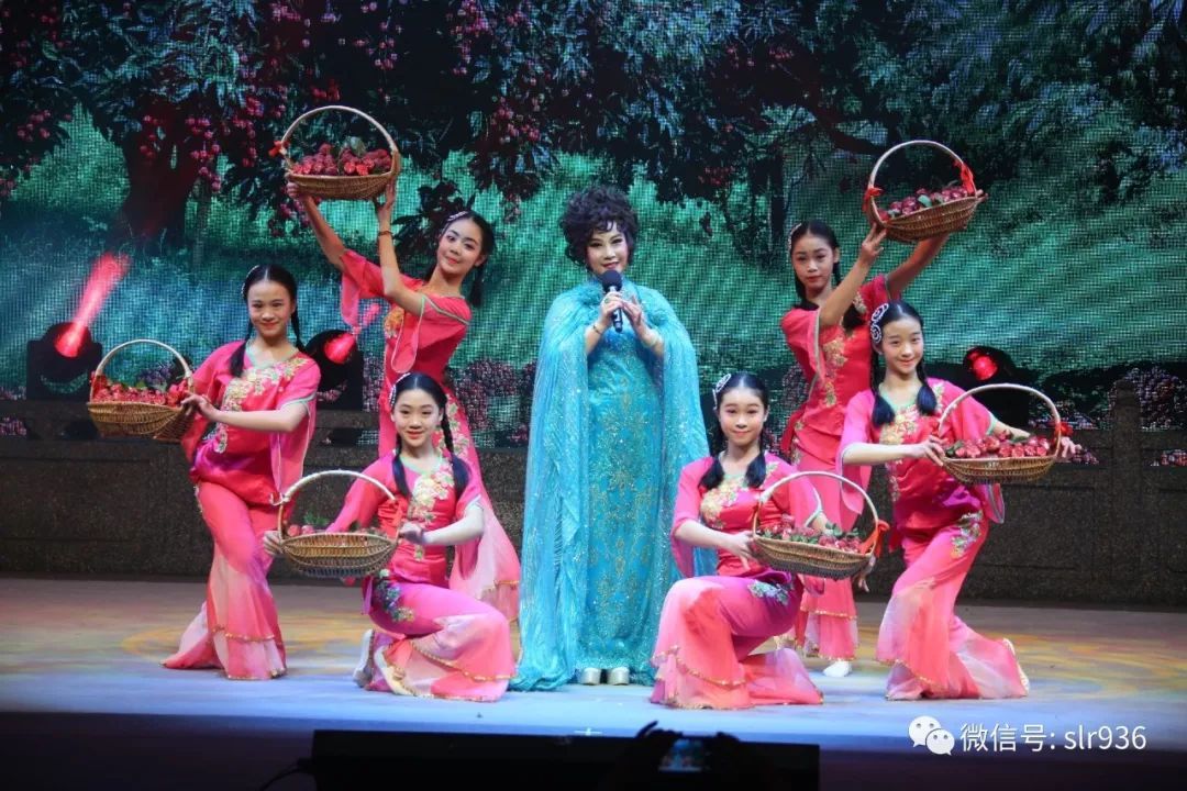 微粤曲获奖展播铜奖作品食荔枝视频