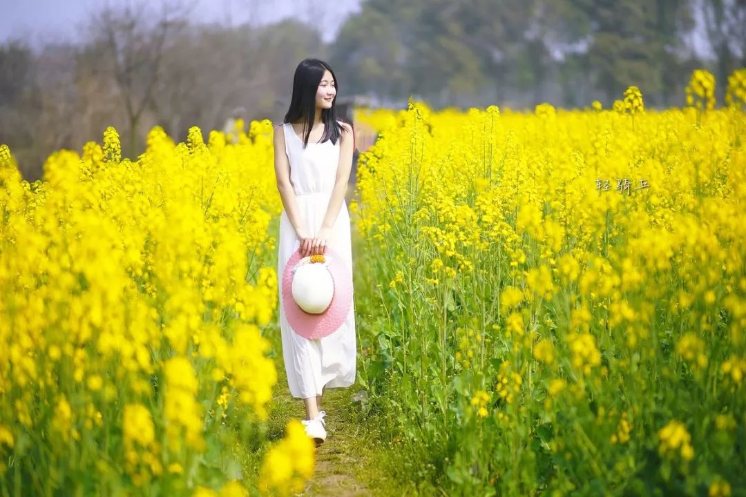 摄影教程丨油菜花人像手机摄影技巧零基础也能让你秒变旅拍达人