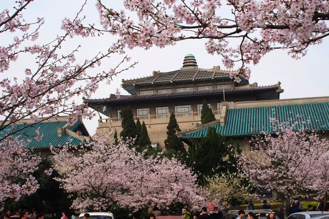 武大和服赏樱事件:是个人自由还是民族情感,您怎么看?