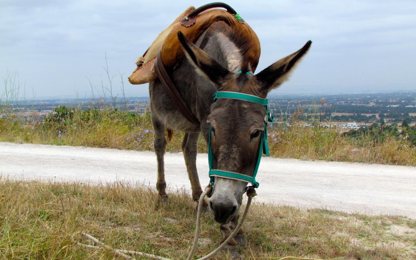 人生,有了目标,才会有方向,漫无目标只会让你一生都碌碌无为!
