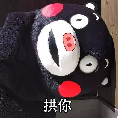 熊本熊表情包:你要是敢不爱我,我就拱你
