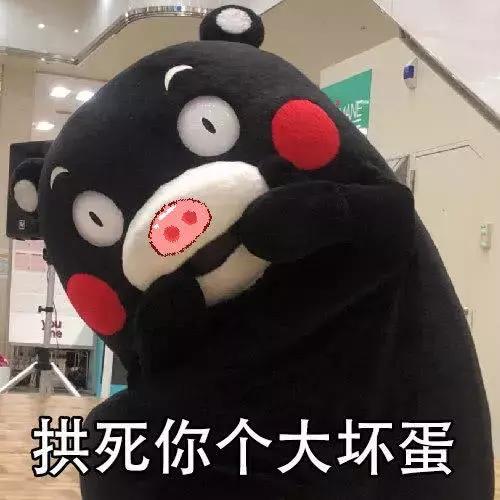 熊本熊表情包:你要是敢不爱我,我就拱你