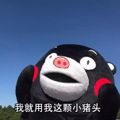 熊本熊表情包:你要是敢不爱我,我就拱你