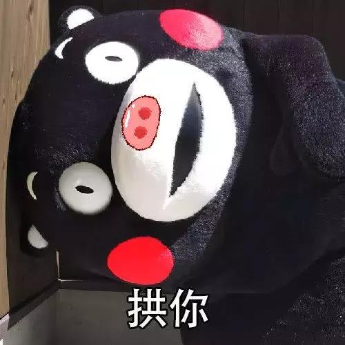 熊本熊表情包:你要是敢不爱我,我就拱你