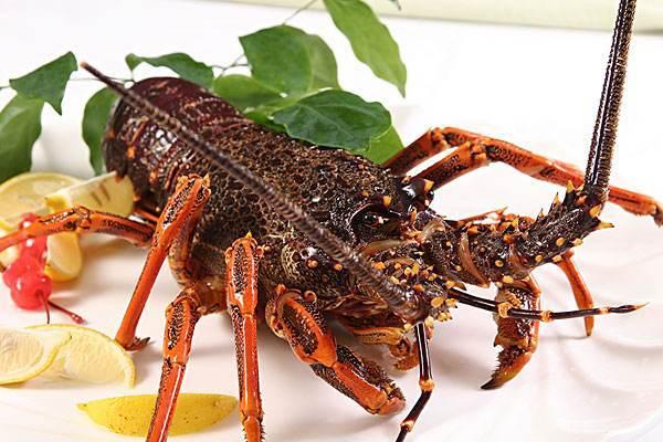 盘点世界上最贵海鲜,吃过两种你就是土豪,全部吃过身家过亿!