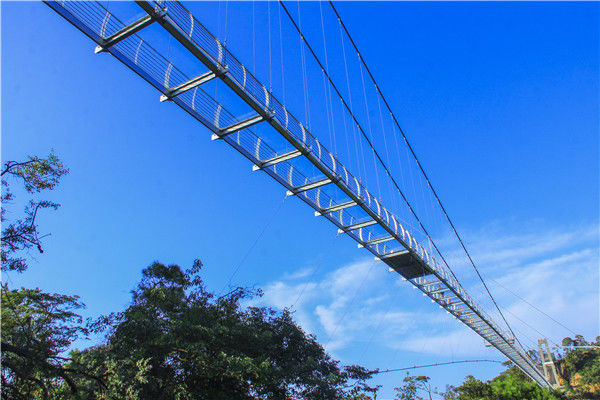 佛山南丹山建成广东最长玻璃桥,闯入山鸡吓得飞不起来