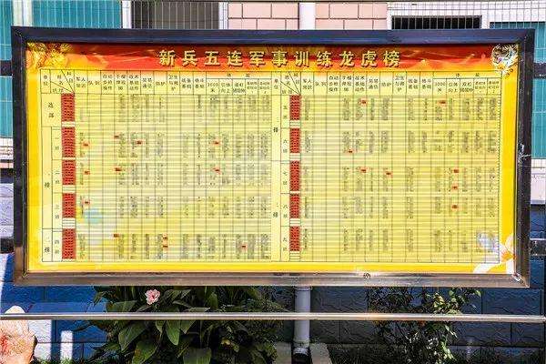 解放军某部5位女兵入伍仅一个月, 父母竟然收到军营喜报|喜报|新兵