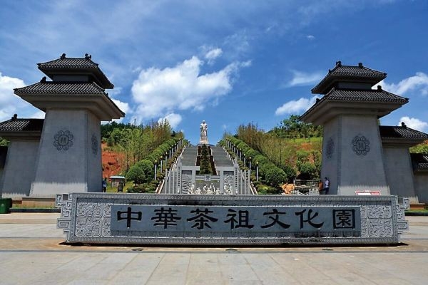 一县一品公益助农,湖南茶陵特色农产品黄牛