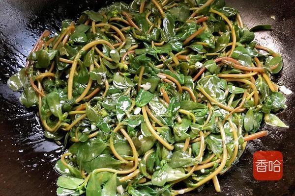 马齿苋适量,蒜两头,菜籽油适量,料汁:辣椒面 适量, 十三香 适量,盐