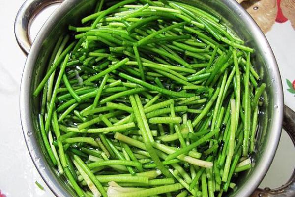 重点来了,细长水莲包装后水分会快速流失,让他保持脆度的秘诀在于切段