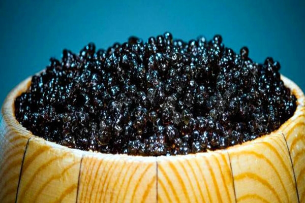 太阳的故乡!一县一品公益助农,黑龙江抚远农特产品鲟鳇鱼子酱|鳇|鱼子酱|故乡_新浪新闻