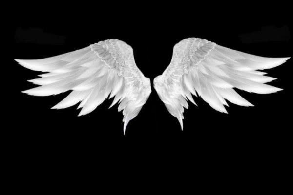 十二星座专属翅膀天秤座的翅膀最霸气双鱼座的最可爱