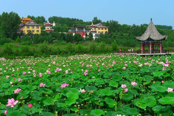 层峦叠翠妙香山!一县一品公益助农,黑龙江望奎特色农产品马铃薯