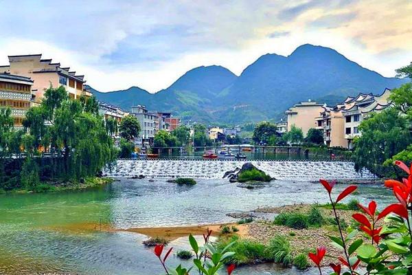 一县一品公益助农,福建寿宁县特色农产品高山茶