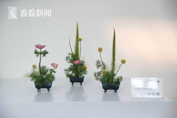 19上海 国际 花展举办第三届国际插花艺术季 19上海 国际 花展举办第三届国际插花艺术季