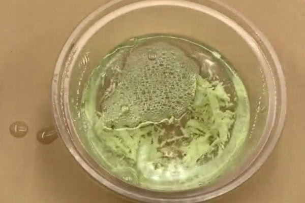 消灭蚊子的妙招二:白糖水灭蚊法