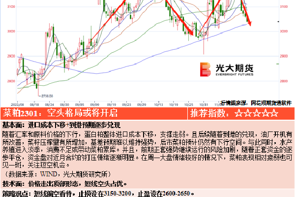 线上买球app哪个好用