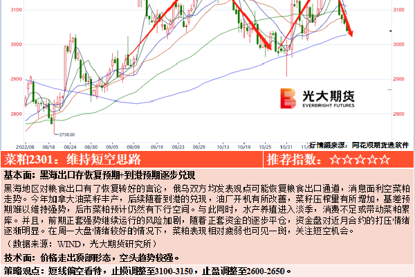 xrk1.3.0ark无限看免费版下载-xrk1.3.0ark无限看免费版v6...