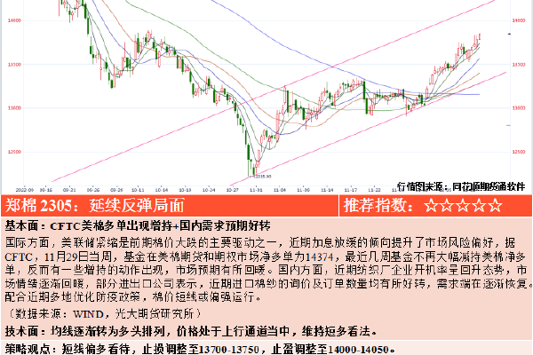 2024今晚开奖结果出来了吗