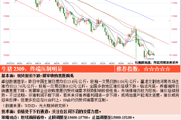 免费黄色视频程序下载