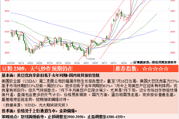 免费流氓软件app下载大全