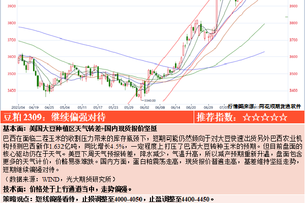 国内大学生A级毛片视频