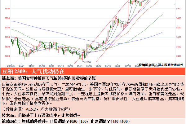 知情人士：CBA新规因近年来裁判引发抱怨多 偏激言论形成名场面