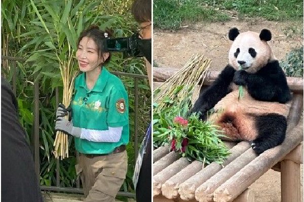 波切蒂诺谈蒂亚戈-席尔瓦重返首发：这并不是一个艰难的决定