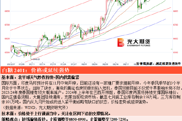 能裸体视频的软件