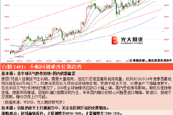 国产zzJJzzJJ视频全免费软件