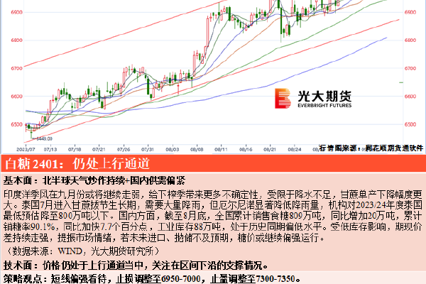 伊人久久综合大杳蕉中文无码