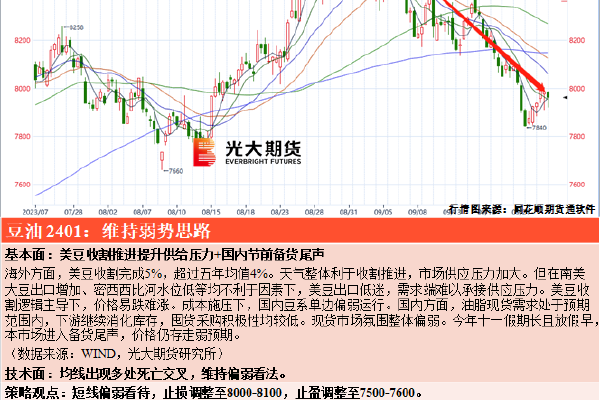 7723影院在线看