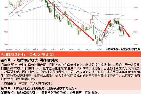 ww177000包青天论坛