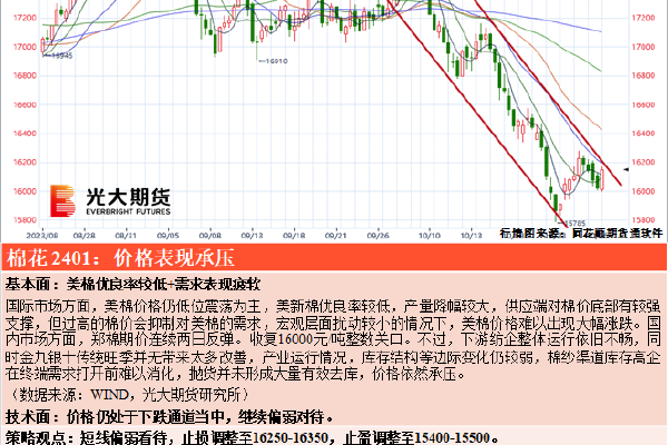 狼人视频破解