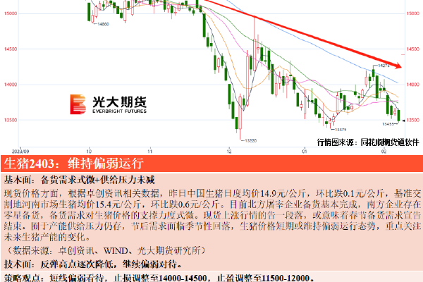 av软件下载安装