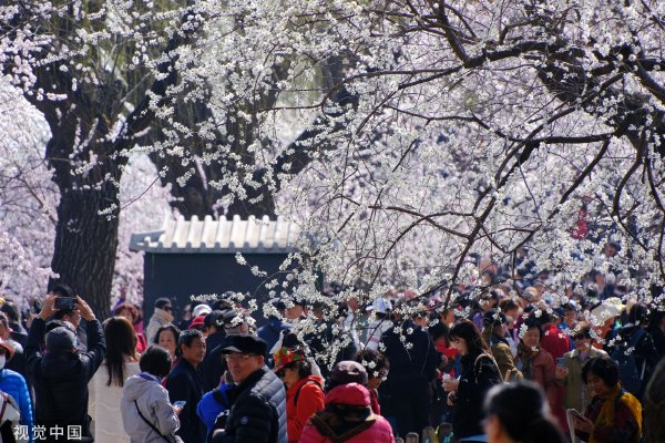 幸福花园 优酷