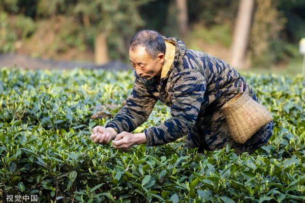 原神免费正能量网站安全