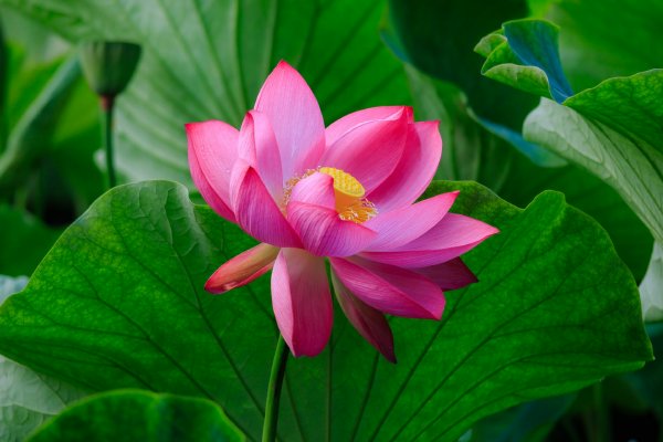 914138.JPG 小蓝视频苹果版app_小蓝视频苹果版下载_小蓝视频苹果版