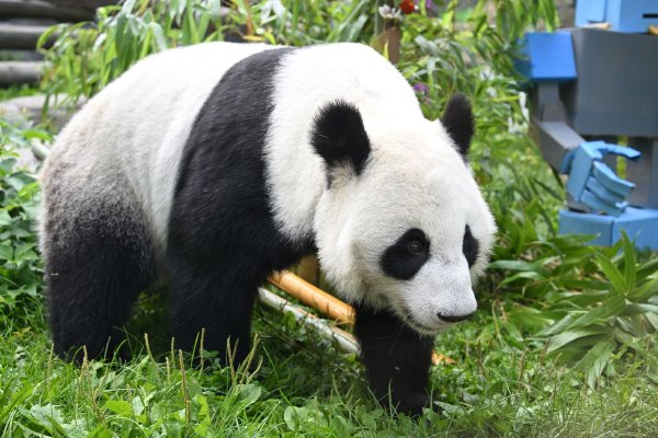 662828.JPG 国产卡二卡新区乱码现象引发广泛关注,解读背