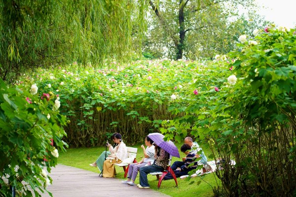 辞职,宗馥莉,宗庆后,刘永好,娃哈哈集团,新品牌娃小宗