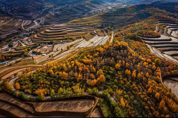 中国,日本,北京市,驻华大使,美国国务院,韩国总统李在明