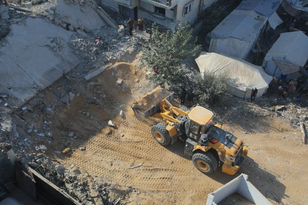 《泰山归来险战丛林国语版》电影全集免费观看高清完整版英波