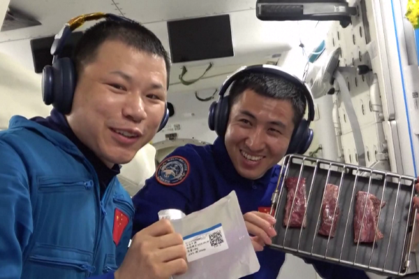 动物园,凯里市,贵州省,湖北省,恩施市,凤凰山森林公园