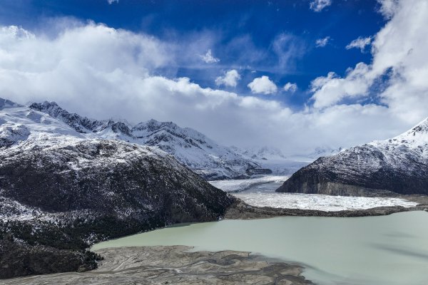 美国发生了一件很狗血的事情