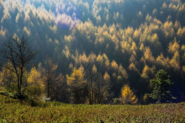 抗鹰建国后,我混成鹰派大元帅书评飞卢小说网