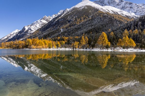 32个“完美男人”的骗局：为离婚女人“定制”买房陷阱，涉案金额达几千万