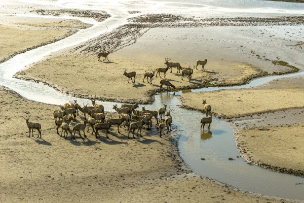 妇联,育儿,父母,宣传部,家庭教育,高速服务区,村民回应2年前初见野人孩子