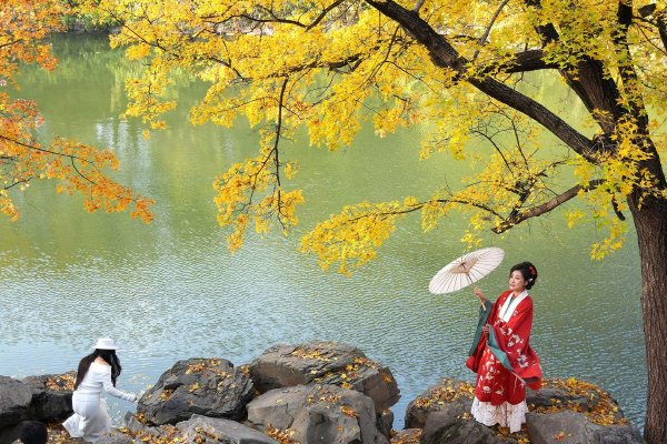 东北老人发现罕见“japonensis”物种,引发科学界热议